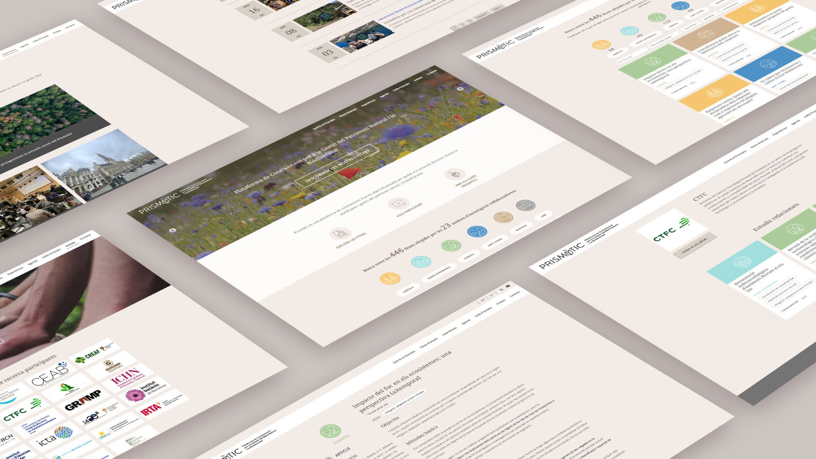 caratules de l'espai web