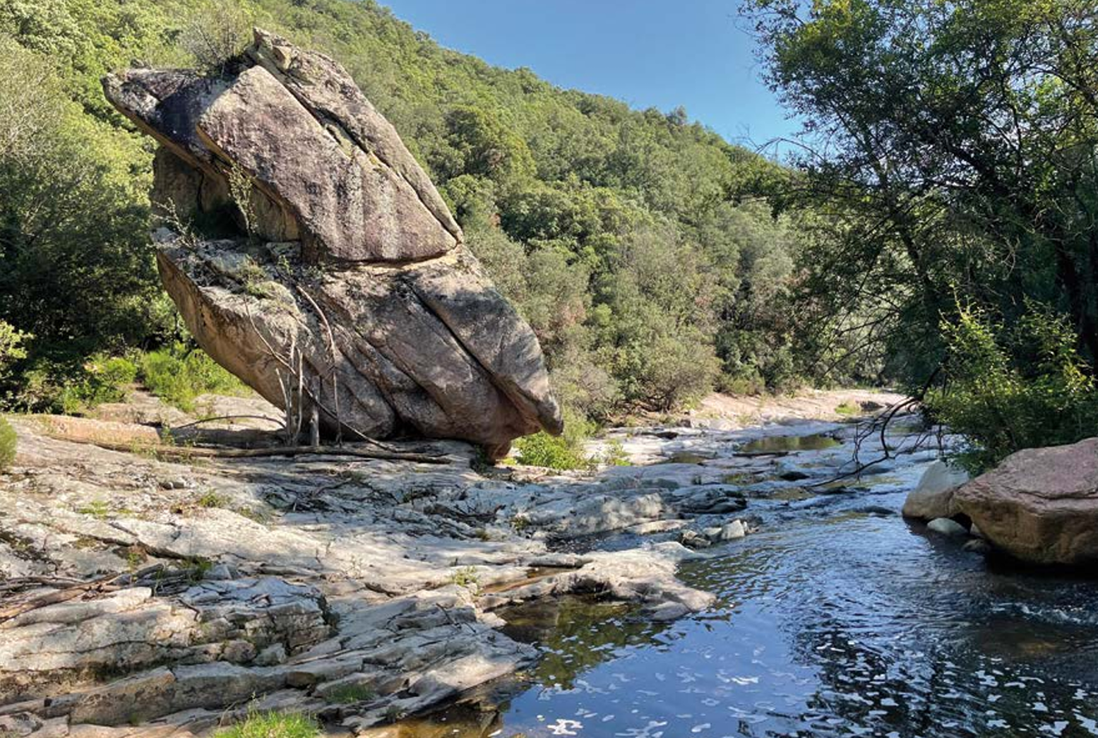 Fotografia de la portada de l'estudi