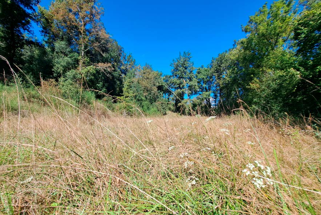 Foto de portada de l'estudi