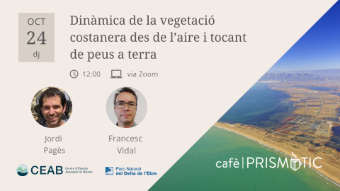 Dinámica de la vegetación costera desde el aire y con los pies en el ...