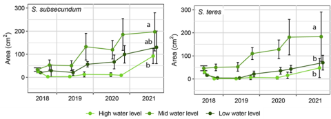 Gràfics de l'article