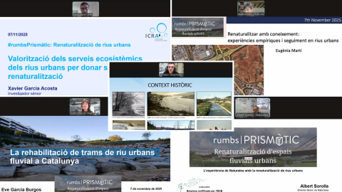 Captures de pantalla de la sessió online del primer #rumbsPrismàtic