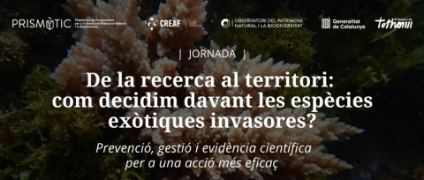 Cartell de la jornada anual del Prismàtic sobre espècies exòtiques invasores. Autor: Prismàtic