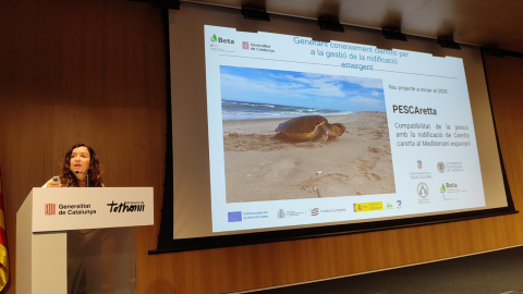 Ponència sobre nidificació de tortugues marines a Catalunya