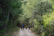 Nova Guia per a la biodiversitat i bioeconomia en boscos privats