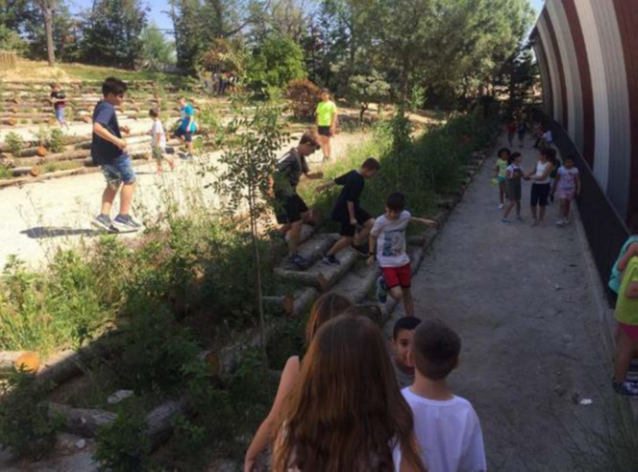 Exemple de pati d'escola verd. Font: Naturalea